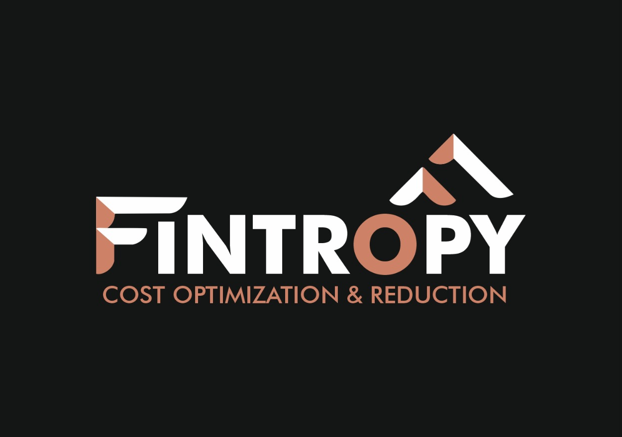 Fintropy - Cloud Cost Optimization